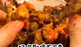 吃了个炸鸡的爆料视频,揭秘网红炸鸡店背后的美味秘密