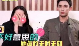 吴磊爆料土味视频播放,揭秘娱乐圈幕后趣事